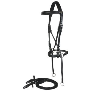 Bitless Bridles